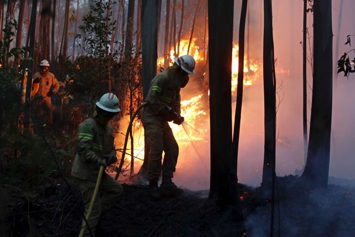 Australian Forest Fires Fueled by Climate Change