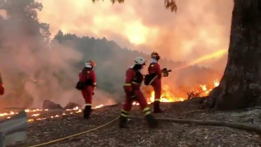 Second Firefighter Killed in Wildfires in Canada