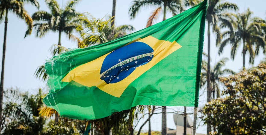 Brazil Declares State of Emergency After Multiple Bird Flu Cases